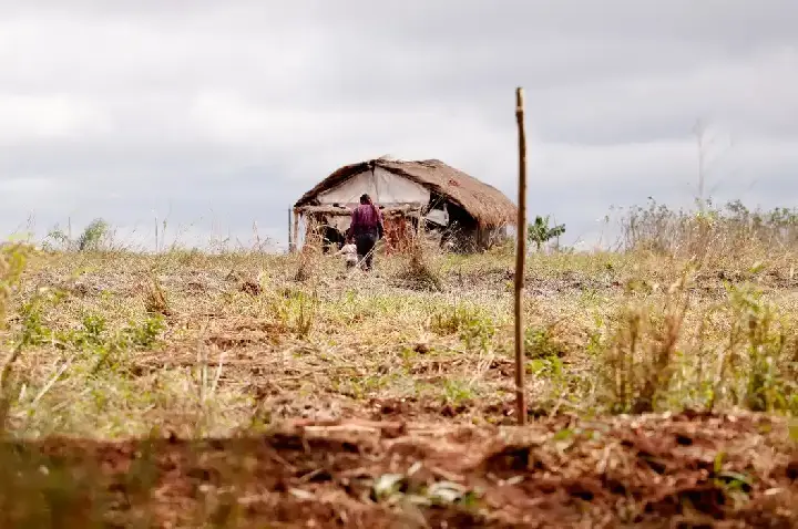 Cai número de assassinatos no campo, mas aumenta o de conflitos