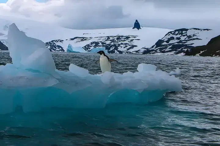 Estudo brasileiro alerta para degelo acelerado nas calotas polares