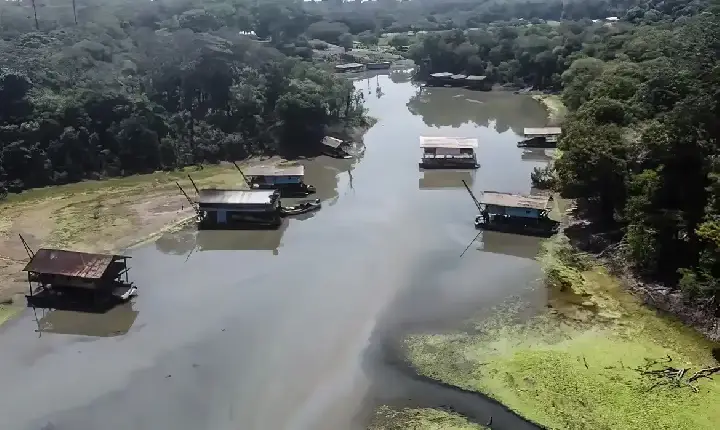 Estudo revela evolução do garimpo ilegal e novas táticas de exploração