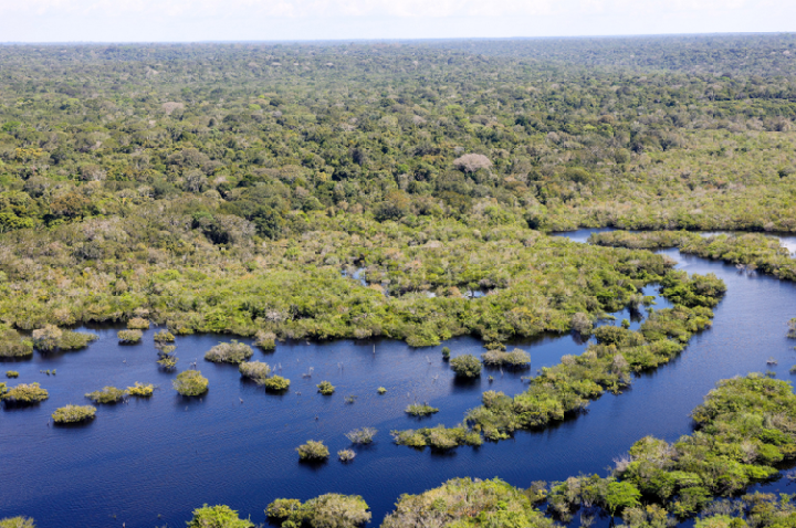 Governo do Brasil seleciona 11 projetos para restaurar quase 3 mil hectares na Amazônia Legal