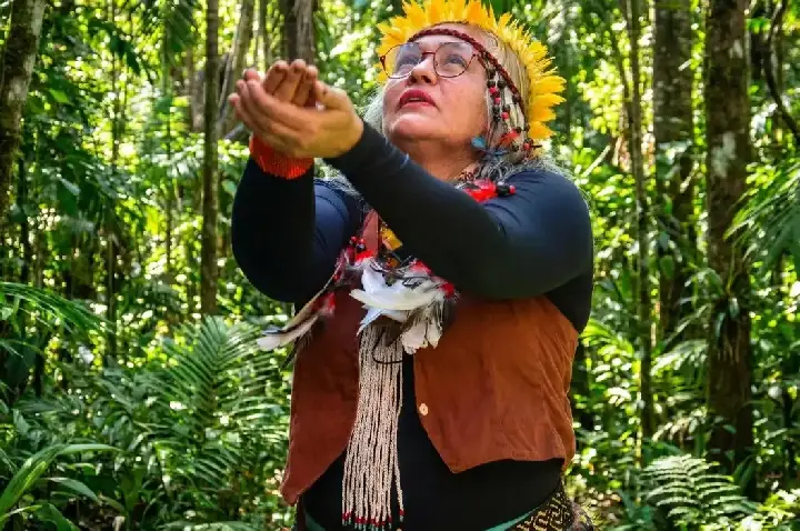 Museu Histórico da Cidade celebra saberes indígenas no Rio de Janeiro