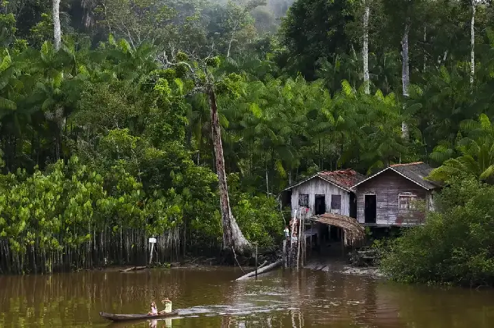 Projeto leva tratamento gratuito a doenças negligenciadas no Amazonas