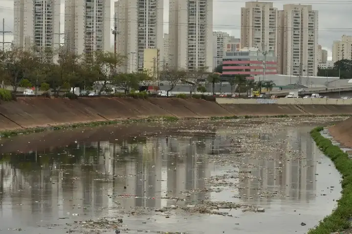 Rio Tietê não tem trecho livre de contaminação, diz SOS Mata Atlântica