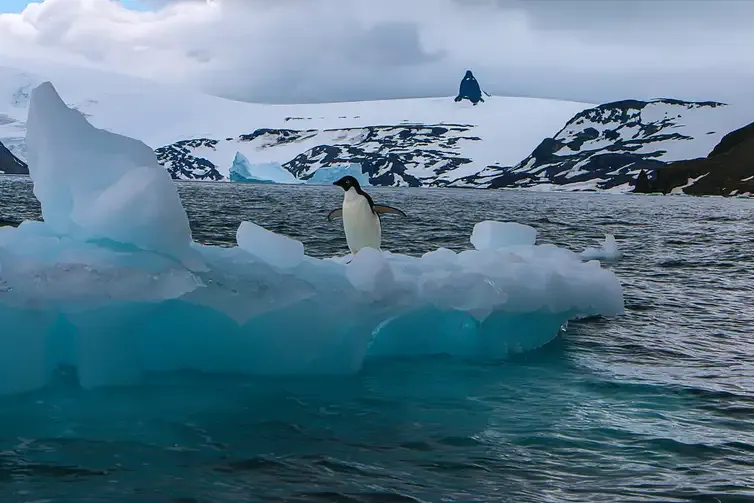 Estudo brasileiro alerta para degelo acelerado nas calotas polares