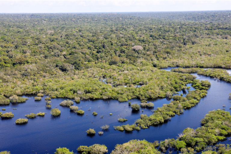 Governo do Brasil seleciona 11 projetos para restaurar quase 3 mil hectares na Amazônia Legal